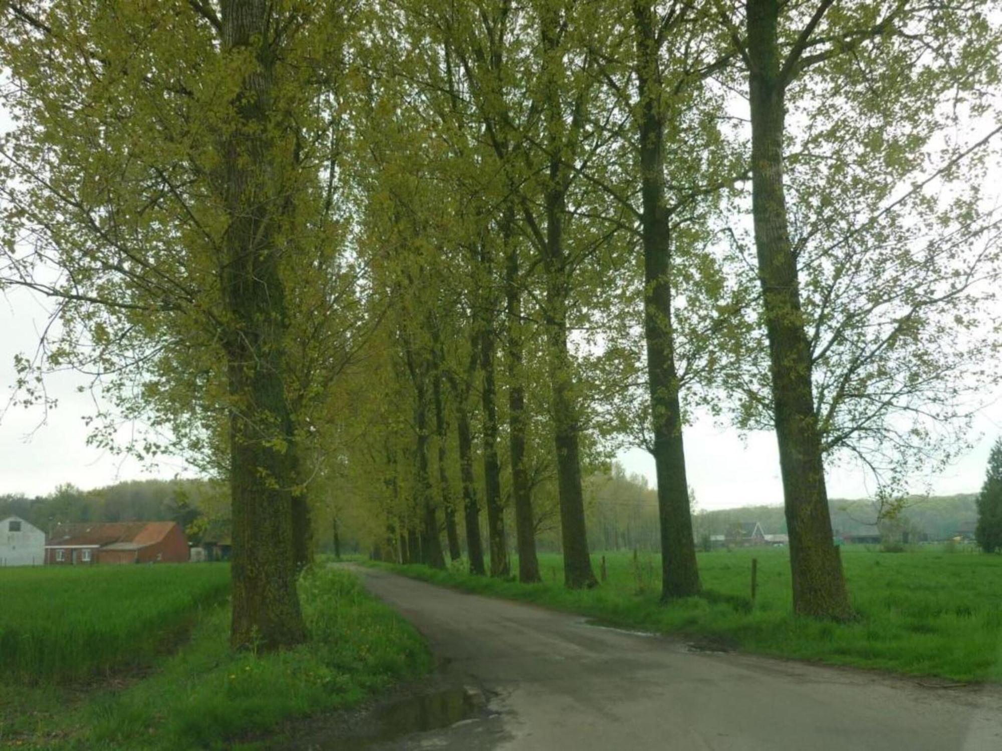 Studio In Ieper With Terrace 外观 照片